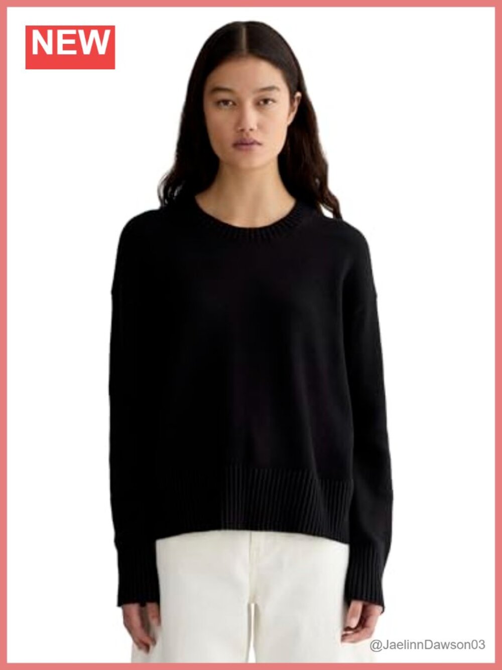 Everlane Organic Cotton Boxy V-Neck Sweater Pullover